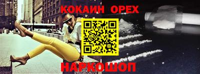 индика Можга