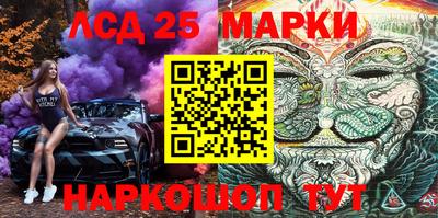 индика Можга