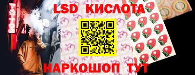 индика Можга