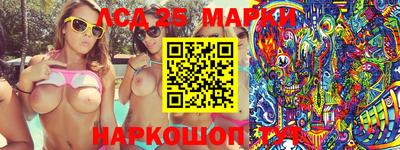 индика Можга