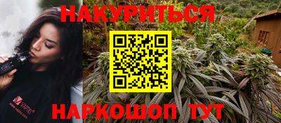 индика Можга
