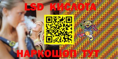 индика Можга