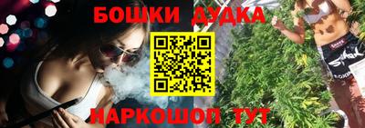 индика Можга
