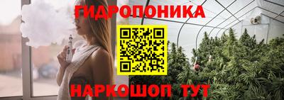 индика Можга