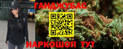 индика Можга