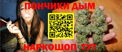 индика Можга