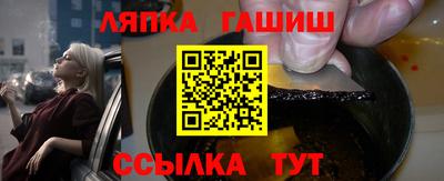 индика Можга